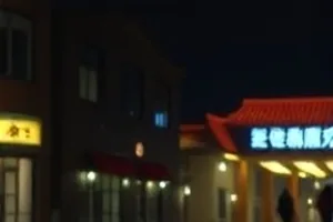 夜色中的城市天桥与远处昏黄灯光，构成悬疑片的叙事氛围